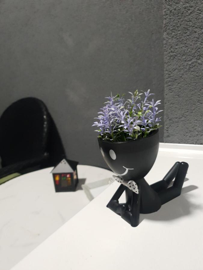Ada Banja Luka Apartment